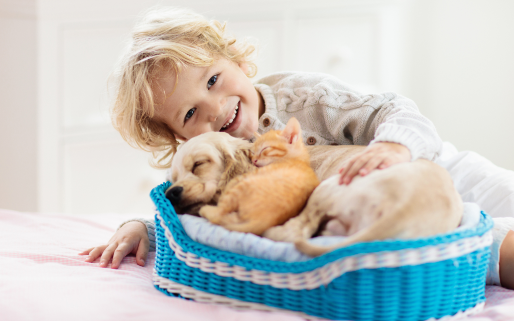 Attivazione-assicurazione-cane-e-gatto-1024x640